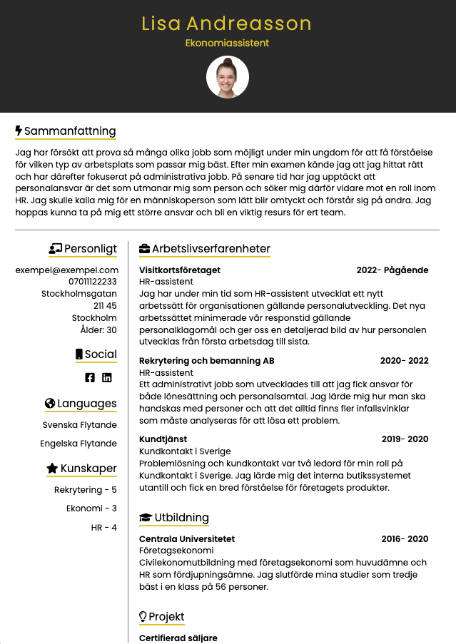 cv-template-belgium