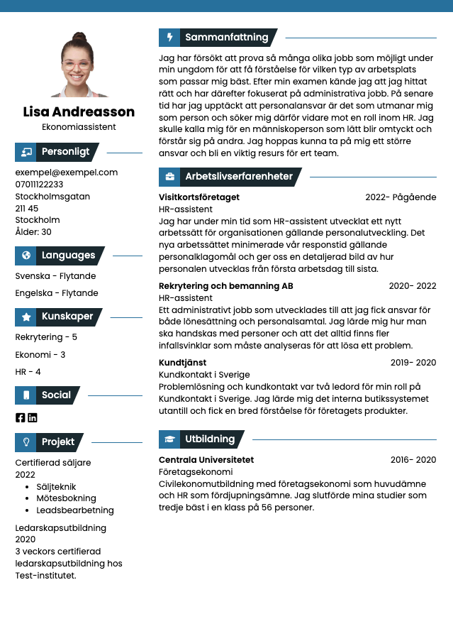 cv-template-ireland